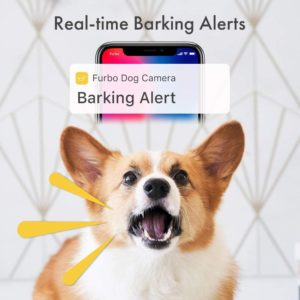 Furbo Barking Alerts